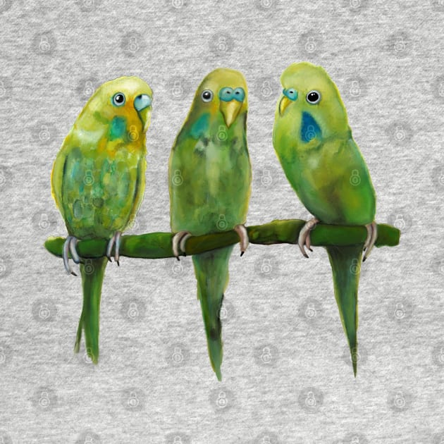 Budgerigar by msmart